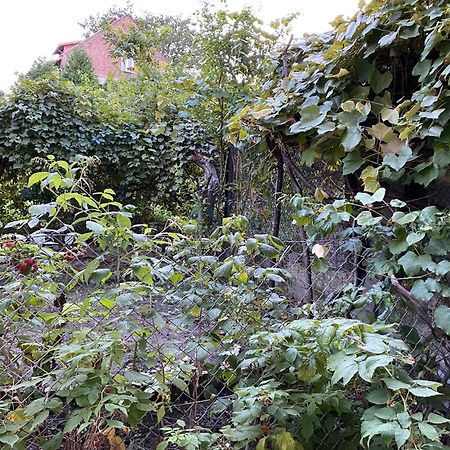 Apartamenty Lux Slowackiego, Przemyśl Exteriör bild