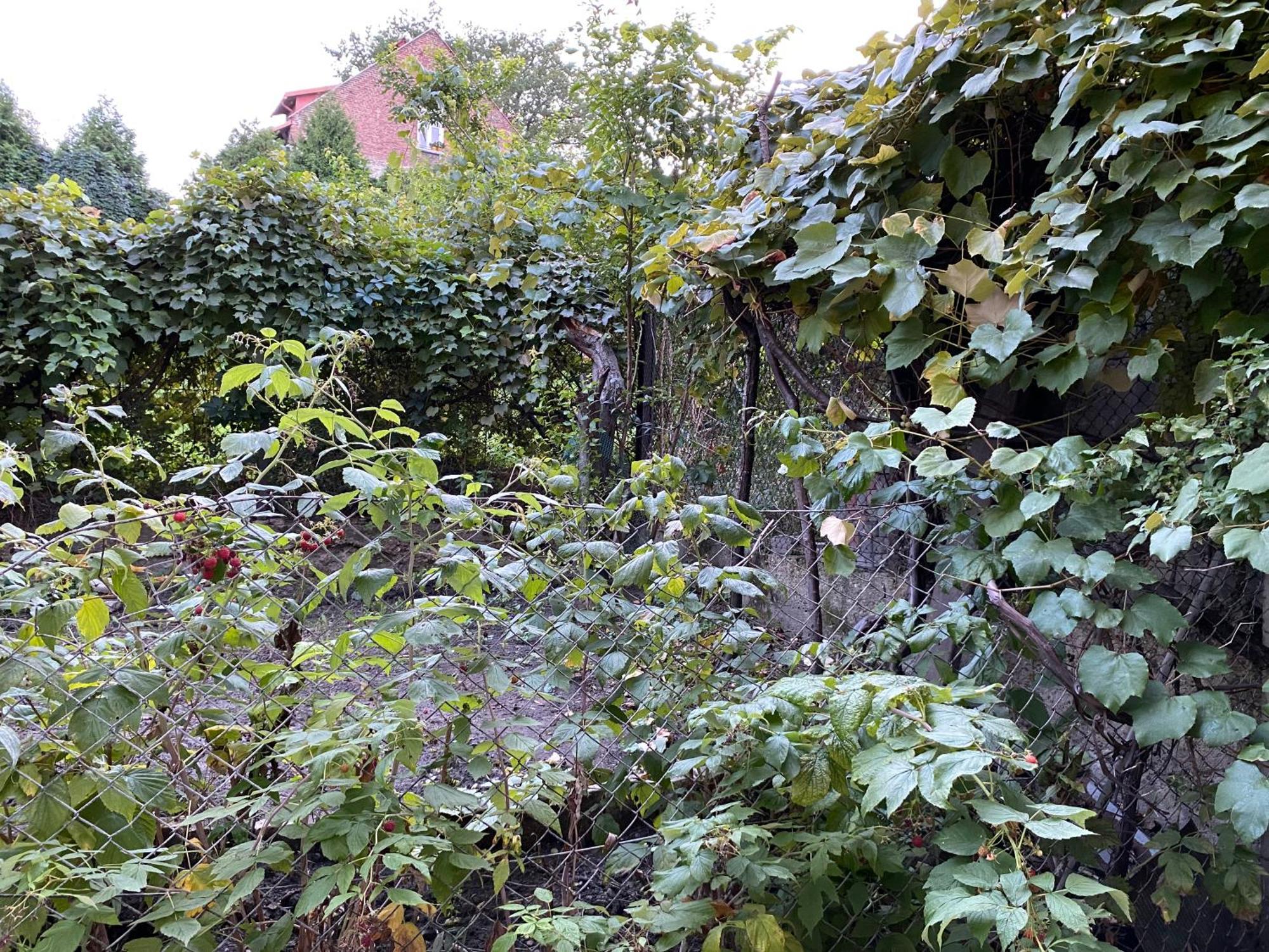 Apartamenty Lux Slowackiego, Przemyśl Exteriör bild